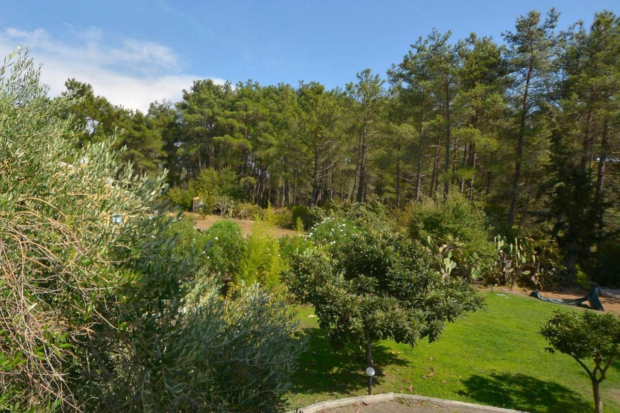 Bella Dassia Vakantiehuis Dafnila